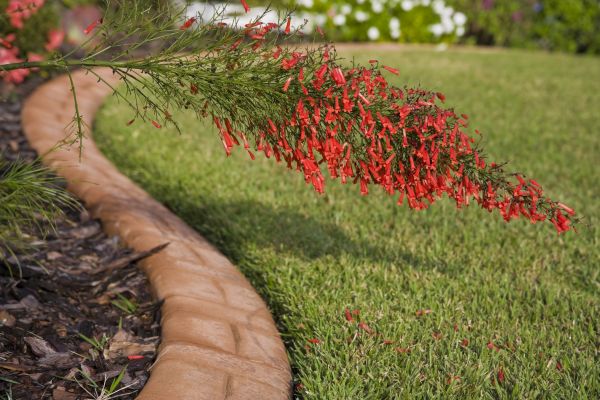 Brick Edging in Madison