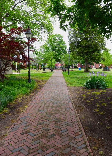 Brick Pathway Repair in Madison