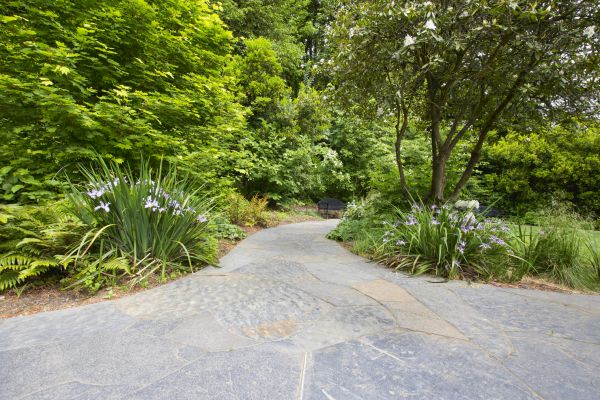 Stone Hardscape Service in Madison