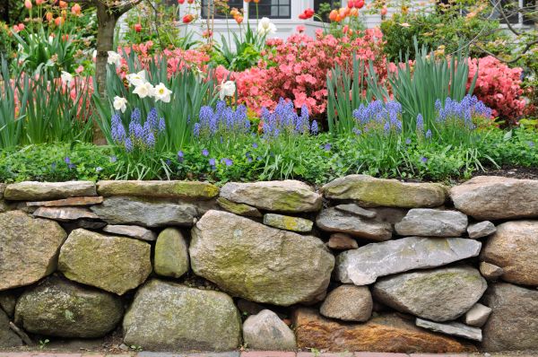 Garden Wall Installation in Madison
