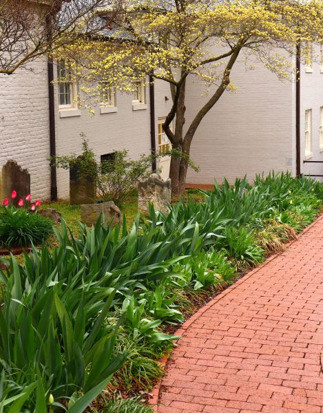 Brick Flatwork Repair in Madison